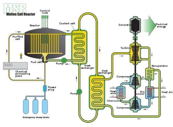 reactor model