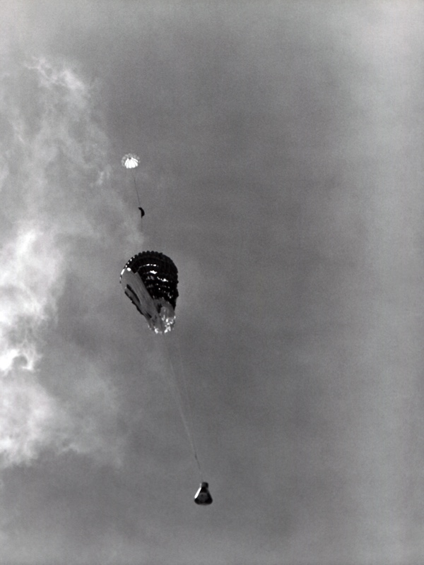 paraglider
