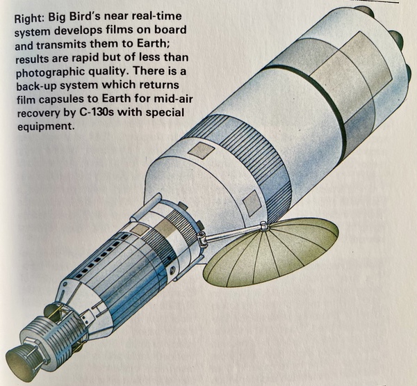 Big Bird